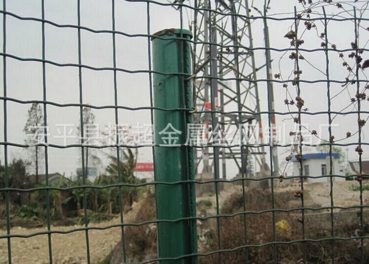 Χǽ˿www.joyexam.cn