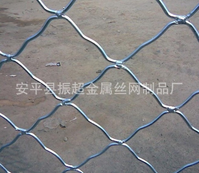 ˿www.joyexam.cn