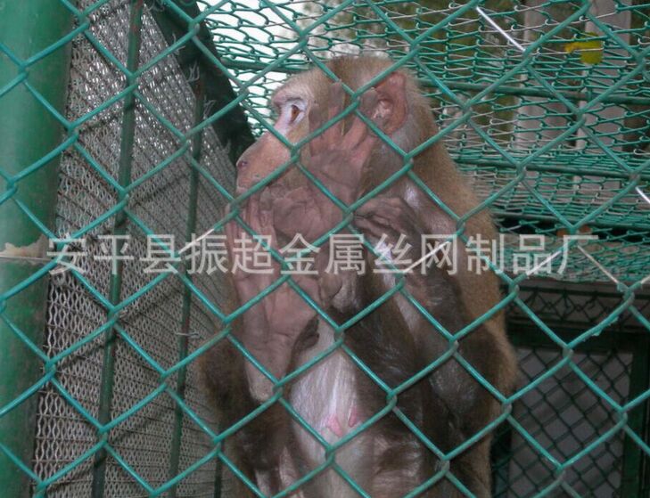 ֳwww.joyexam.cn