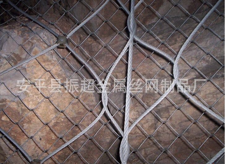 ·www.joyexam.cn