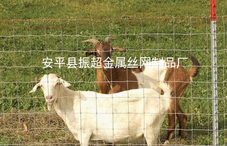 Ȧţø˿www.joyexam.cn