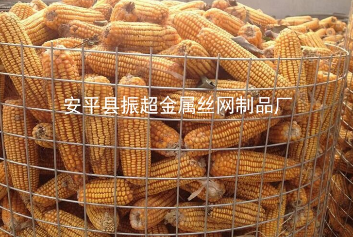 Ȧ׸˿www.joyexam.cn