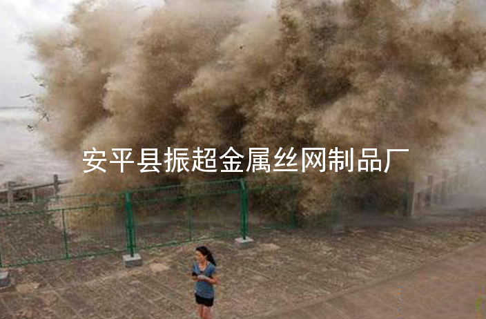 ˿Χwww.joyexam.cn