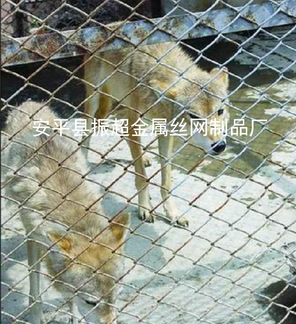 Ȧ˿Χhttp://www.joyexam.cn