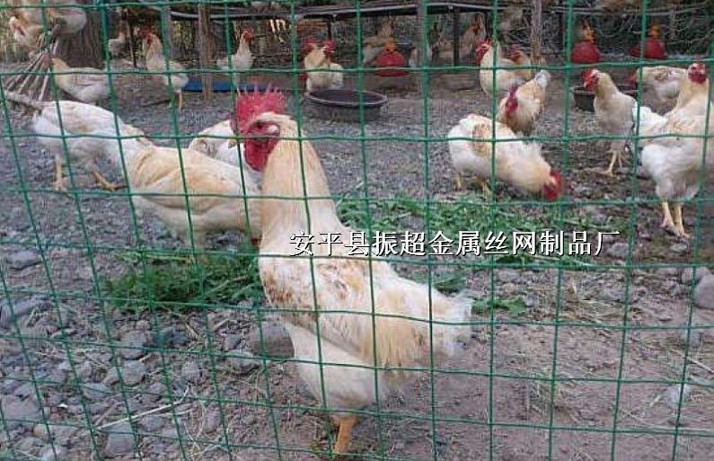 Χ,,Ȧ,˿http://www.joyexam.cn