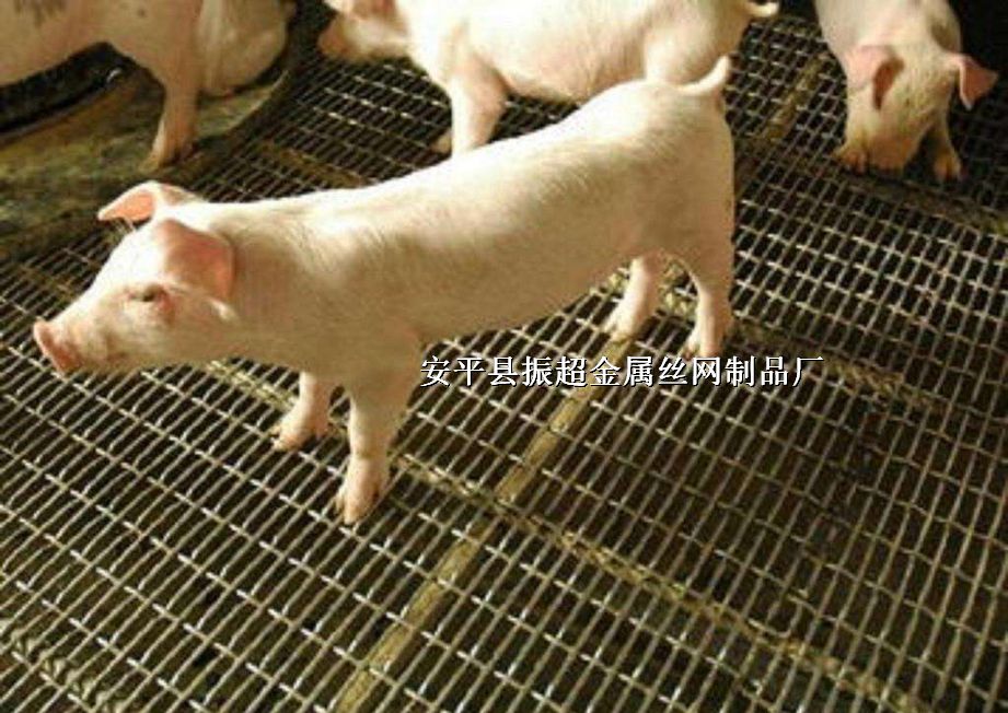 ¶ذhttp://www.joyexam.cn