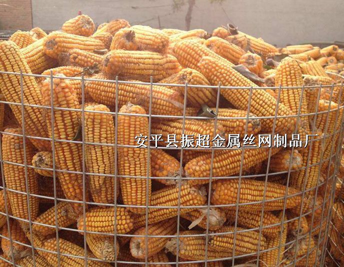 Ȧ˿http://www.joyexam.cn